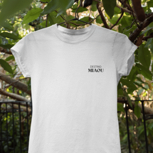 Voyage en Espagne - Destino Miaou